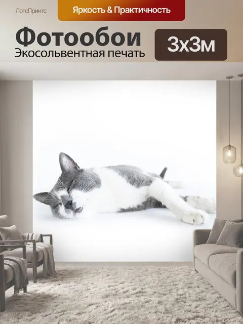 Фотообои Кошка