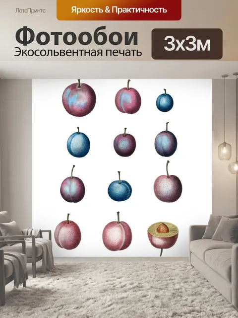 Фотообои Сливы марочные