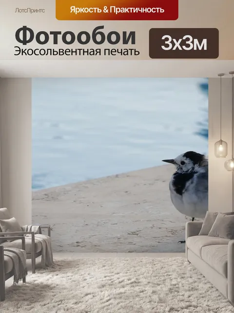 Фотообои Птица
