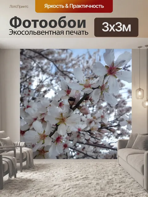 Фотообои Цветы