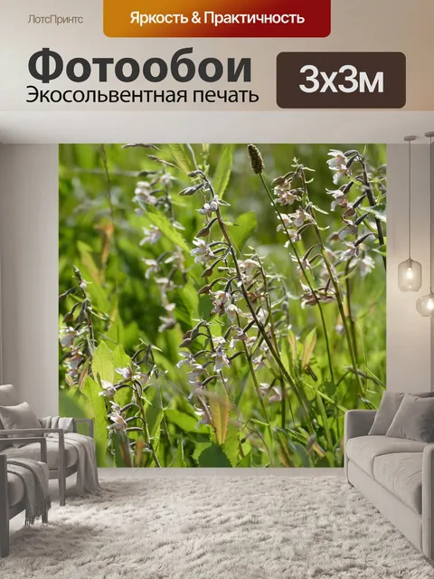 Фотообои Цветок
