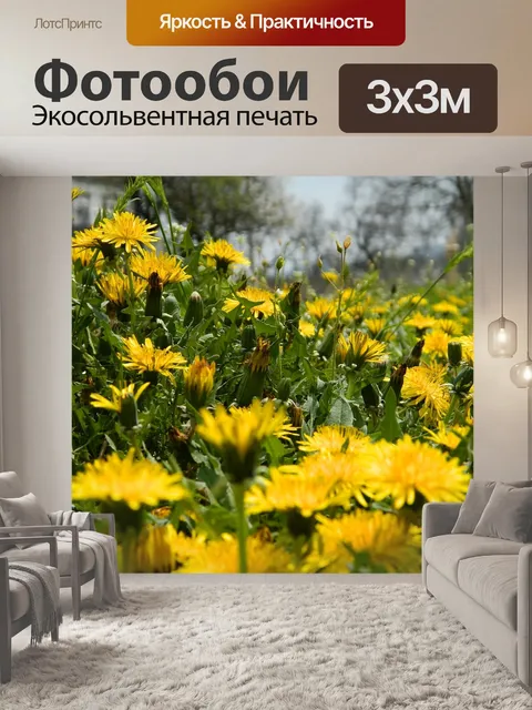 Фотообои Одуванчики