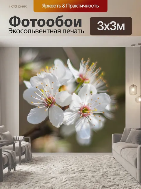 Фотообои Белые цветущие цветы на дереве