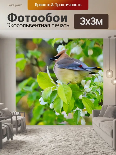Фотообои Певчая птица