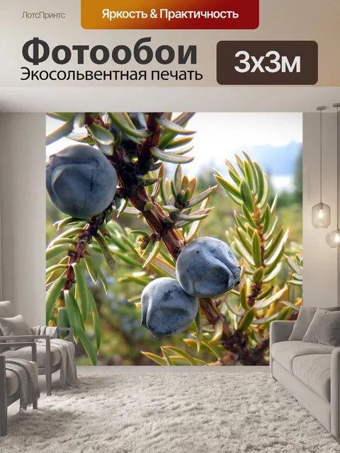 Фотообои Ягоды