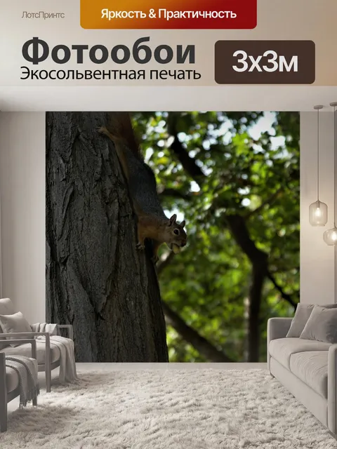 Фотообои Зеленый