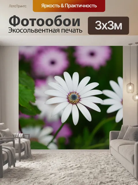 Фотообои Африканские ромашки