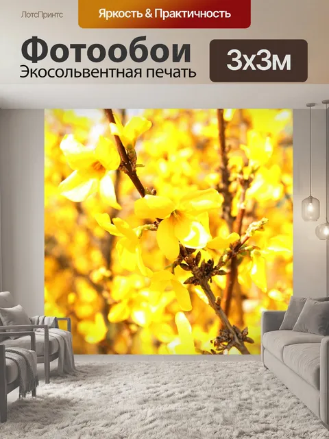 Фотообои Цветы