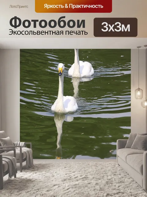 Фотообои Лебеди