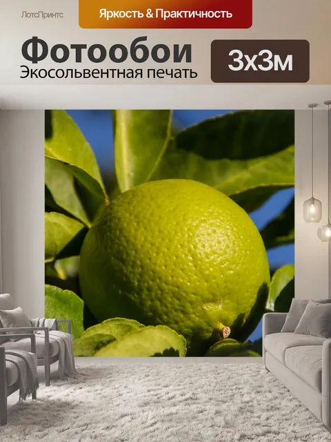 Фотообои Лайм