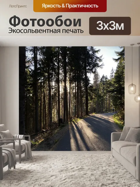 Фотообои Лес