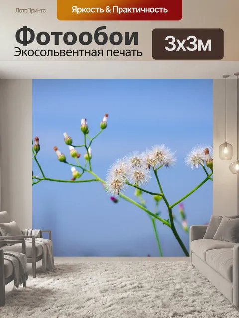 Фотообои Полевые цветы