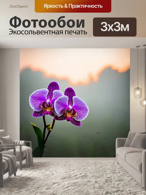Фотообои с орхидеями на фоне утреннего тумана, нежные цветы с каплями росы, освещенные ранними солнечными лучами