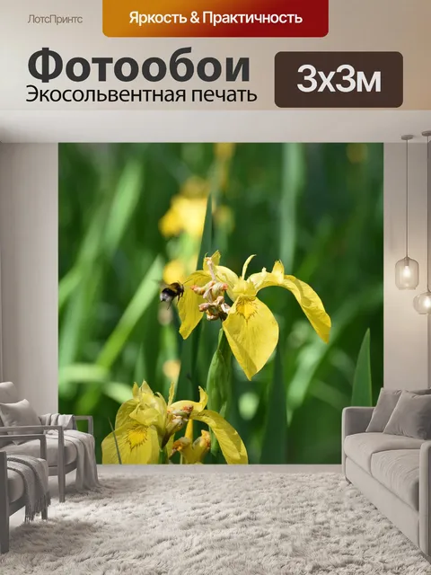 Фотообои Цветы