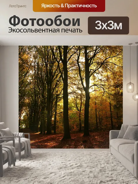 Фотообои Лес