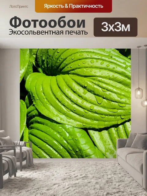Фотообои Листья