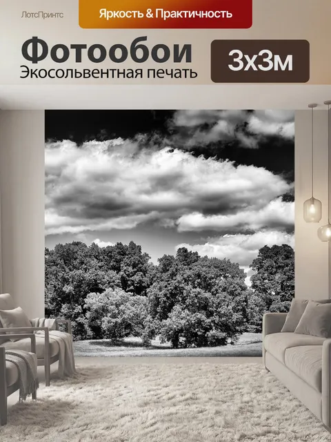 Фотообои Монохромный