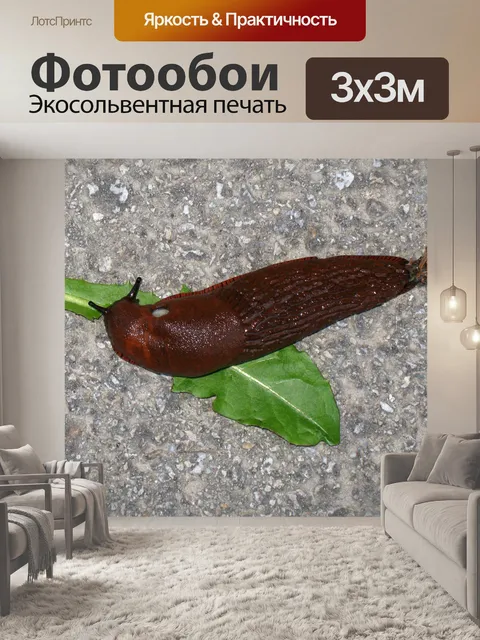 Фотообои Роботы