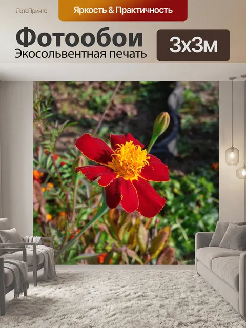 Фотообои Цветок