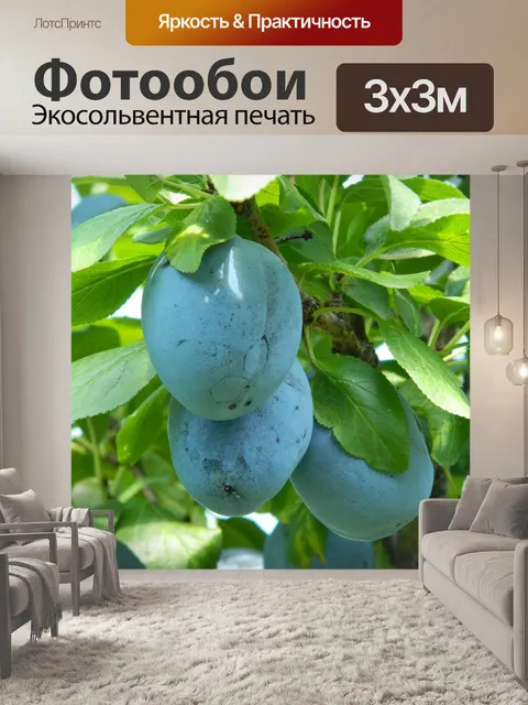 Фотообои Листья растения