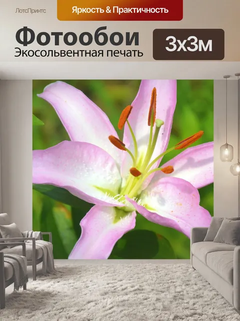 Фотообои Лилии