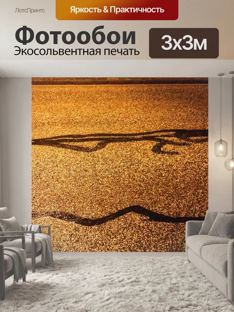 Фотообои Асфальт