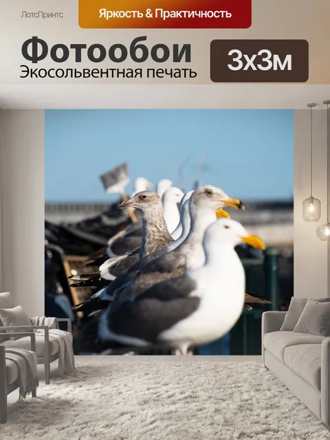Фотообои Птицы