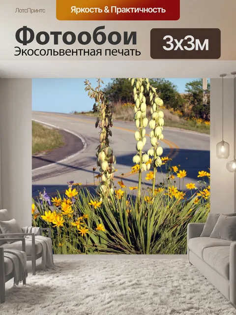 Фотообои Придорожная Юкка и Космос