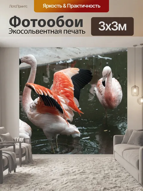 Фотообои Розовые фламинго