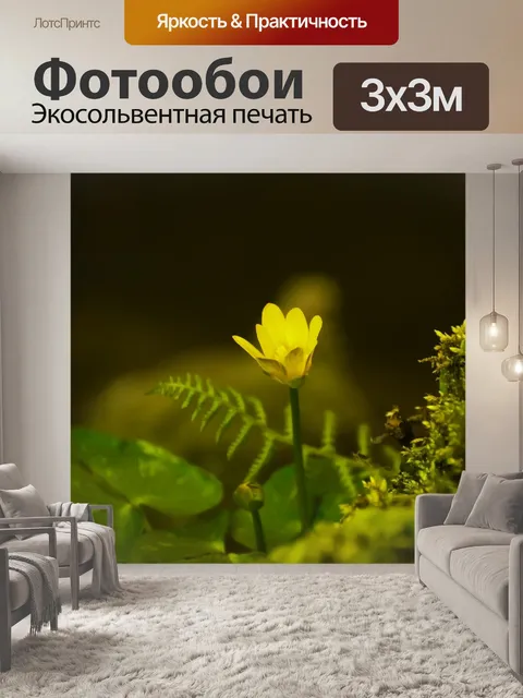Фотообои Цветок