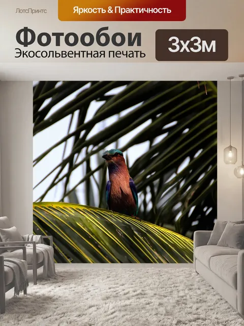 Фотообои Зимородок