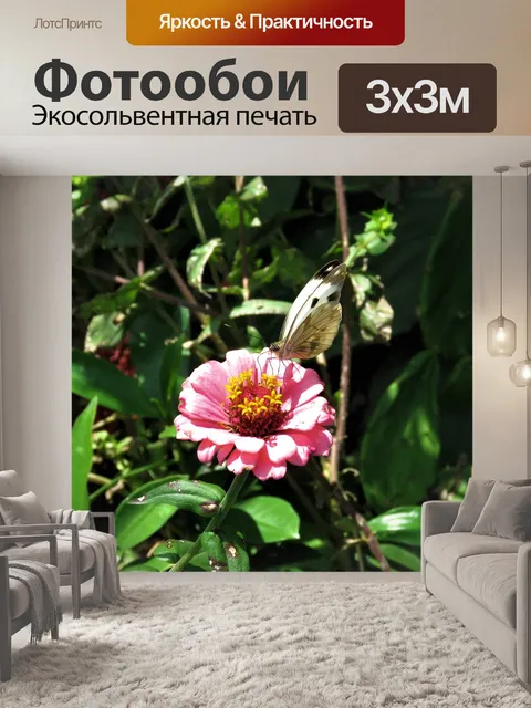 Фотообои Бабочка