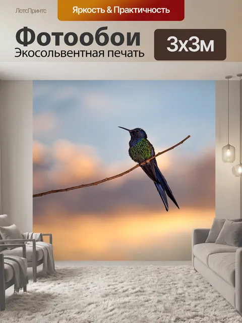 Фотообои Птица