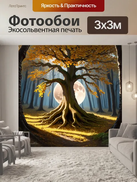 Фотообои на дне глубокого леса