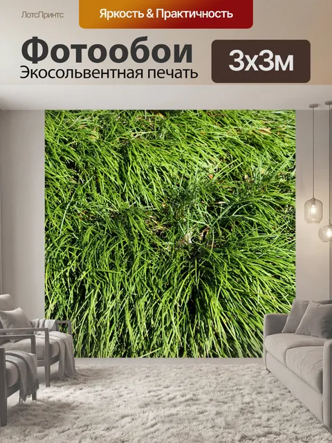 Фотообои Декоративные травы