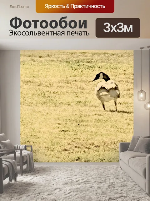 Фотообои Урожай гусь