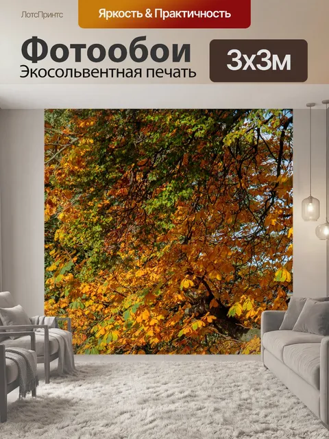 Фотообои Осенние листья фон
