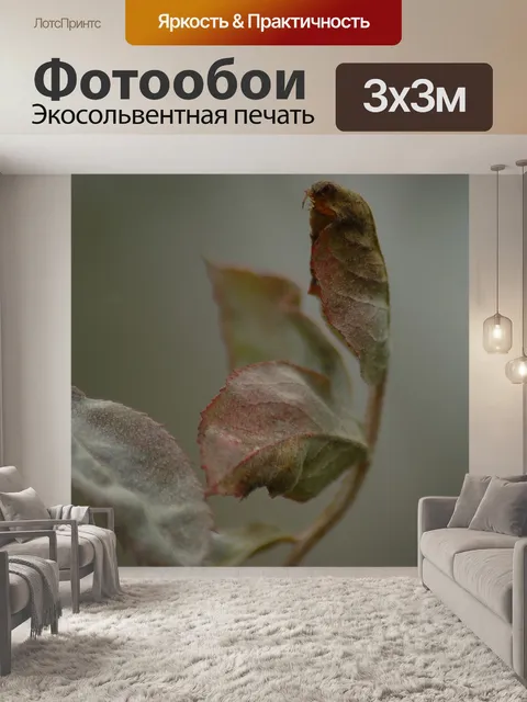 Фотообои Осень
