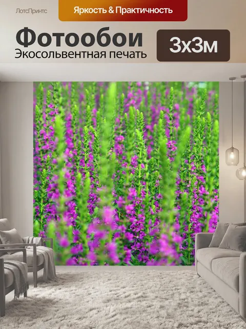 Фотообои Лаванда