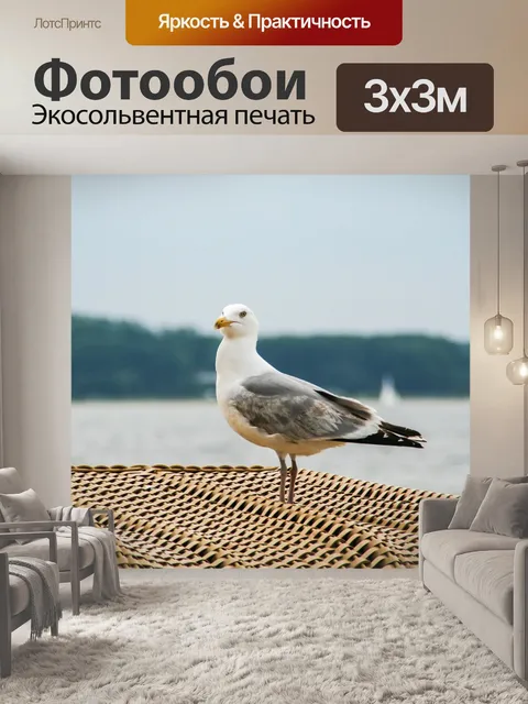 Фотообои Чайка