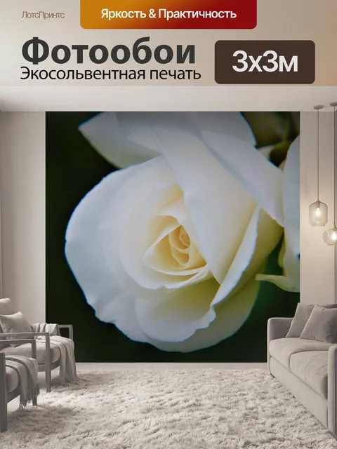 Фотообои Розы флорибунда