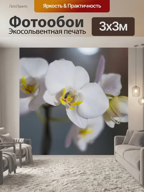 Фотообои Орхидея