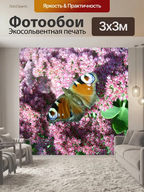 Фотообои Павлиний глаз