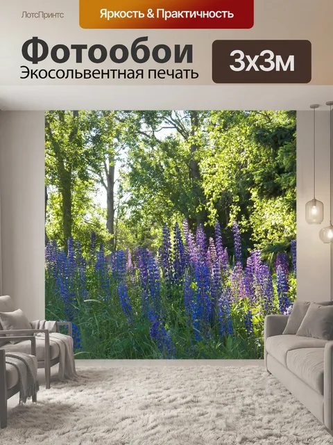 Фотообои Полевые цветы