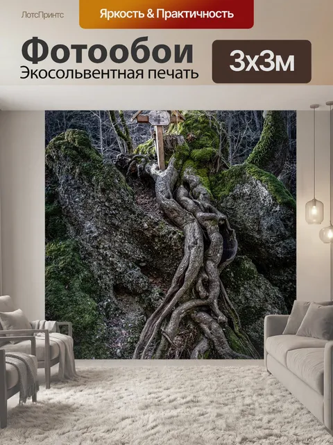 Фотообои Лес