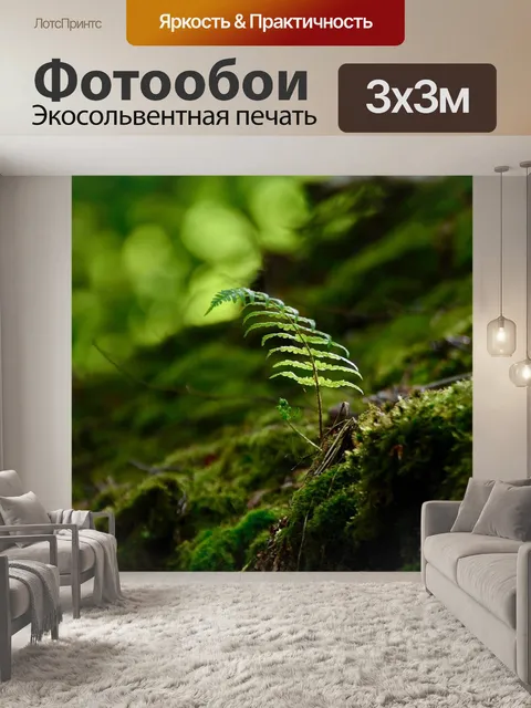 Фотообои Папоротник