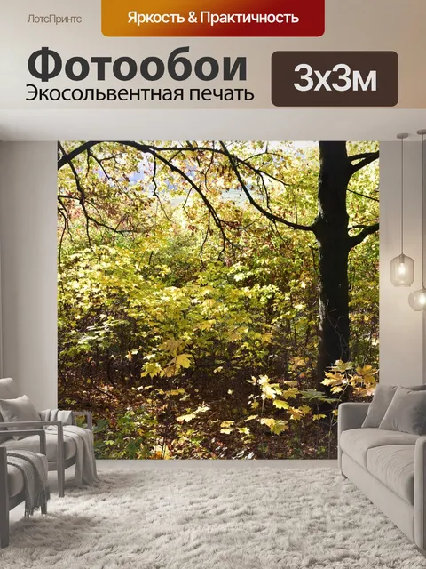 Фотообои Лес