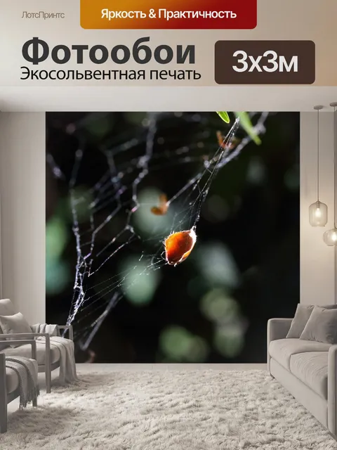 Фотообои светящийся золотой лист попал в паутину