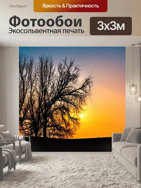 Фотообои осень — облетевшие деревья с пустыми ветвями на фоне заката