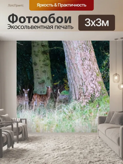 Фотообои Олени в лесу